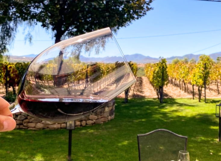 blog Vino y Viñedos