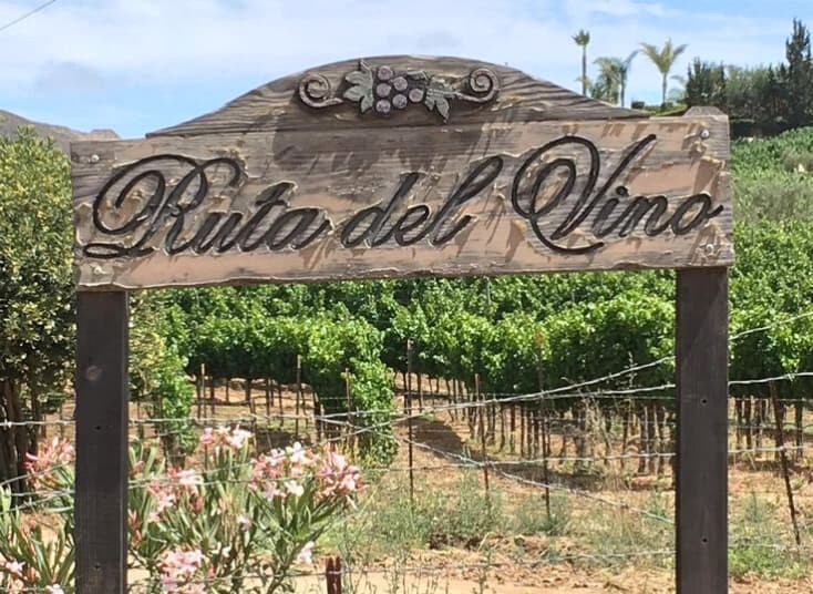 Blog Valle de Guadalupe B.C. Mex.